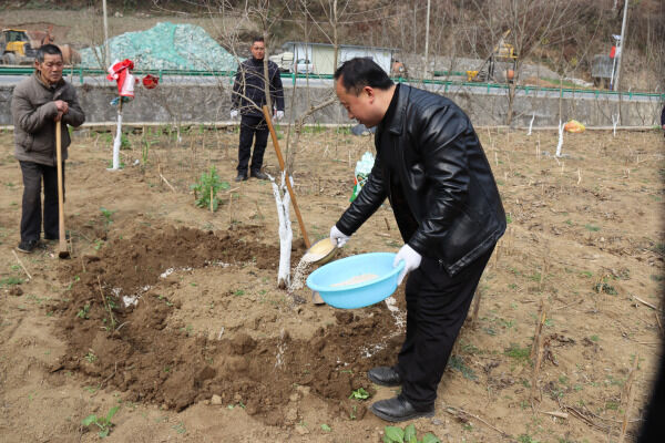 1709515881463500.png 10_副本.png