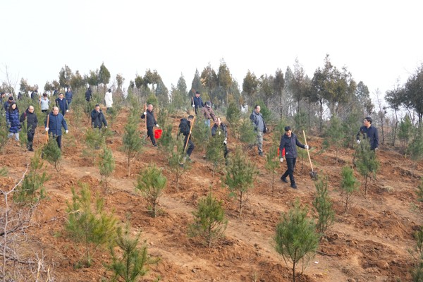 1709532648371480.jpg 5_副本.jpg