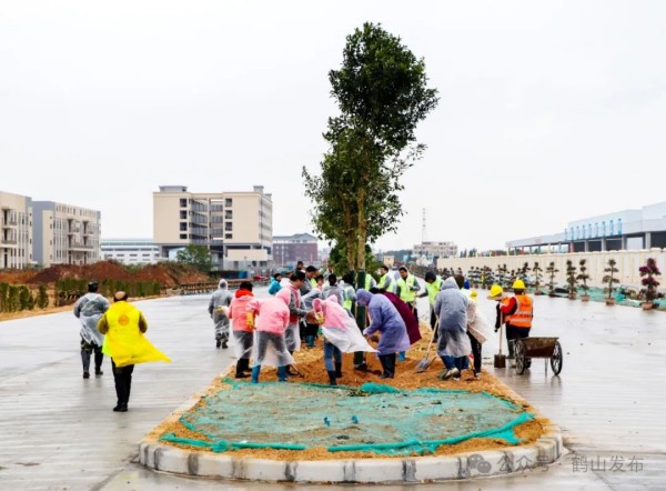 1709538399813035.jpg 2_副本.jpg