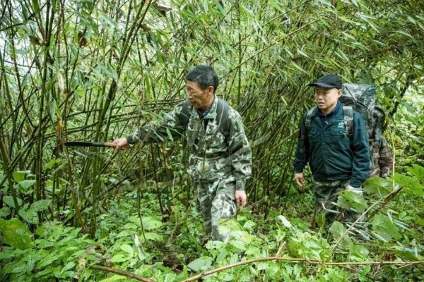 1709626012361240.jpg 4_副本.jpg