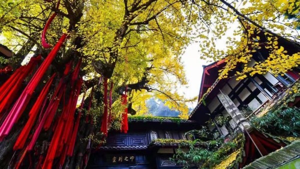 1709626023172445.jpg 5_副本.jpg