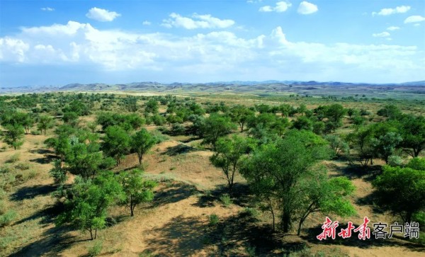 1710139320296620.jpg 3_副本.jpg