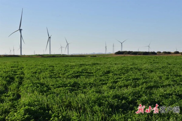 1710139359143642.jpg 5_副本.jpg