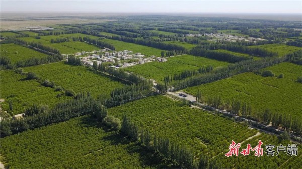 1710139382318010.jpg 7_副本.jpg