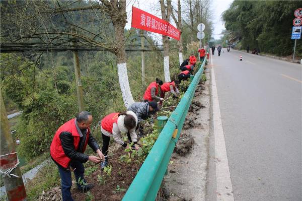 1710296305543122.jpg 1.jpg