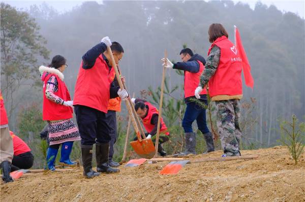 1710296412382633.jpg 4.jpg