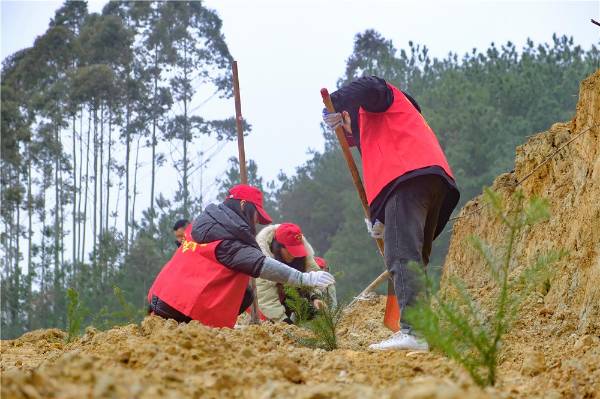 1710296418842572.jpg 5.jpg