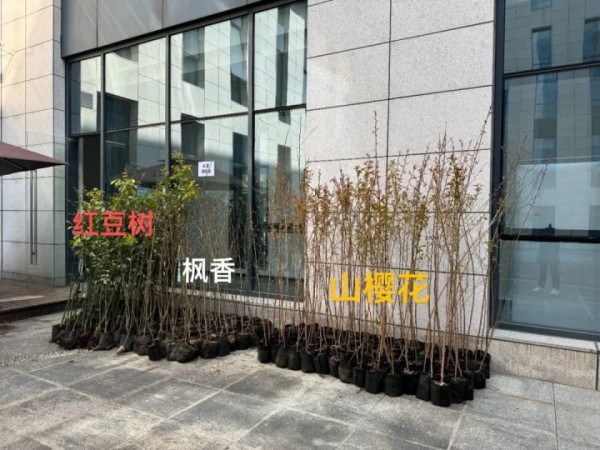 1710298986661743.jpg 3_副本.jpg