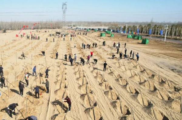 1710407820574568.jpeg 5.jpeg