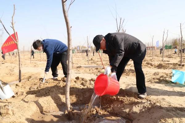 1710407837195852.jpeg 4.jpeg