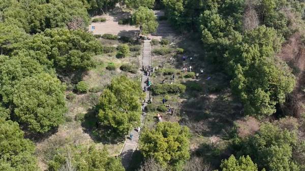 1710471755854004.jpg 1.jpg