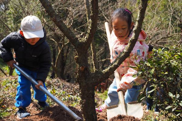 1710471776948093.jpg 3.jpg