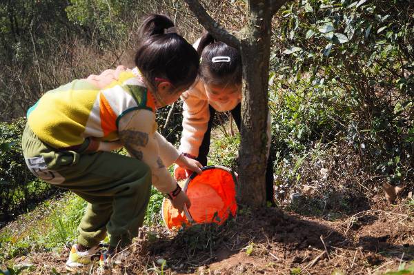 1710471782178396.jpg 4.jpg