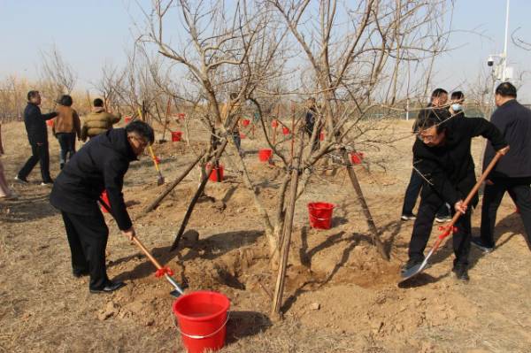 1710479018129164.jpg 1.jpg