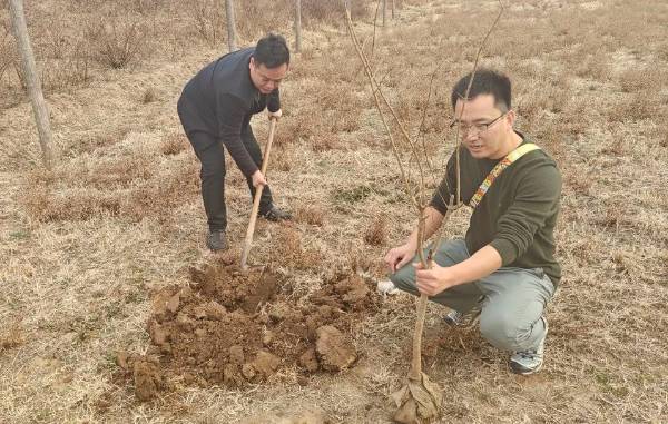 1710479502645605.jpg 7.jpg