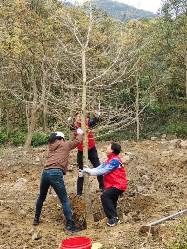 1710486039435853.jpeg 46.jpeg