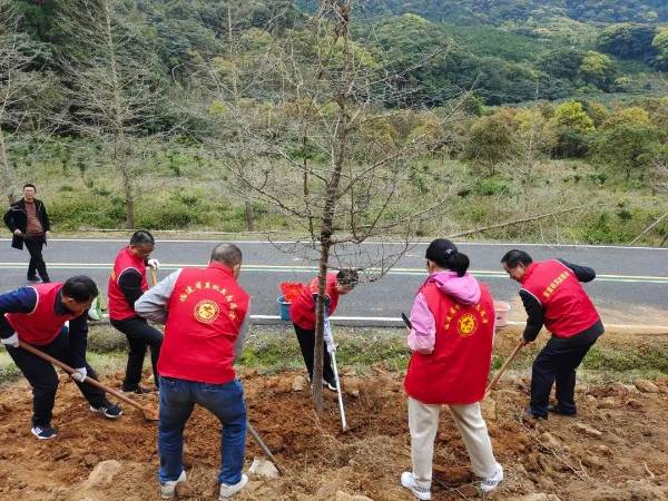 1710486058286239.jpeg 48.jpeg