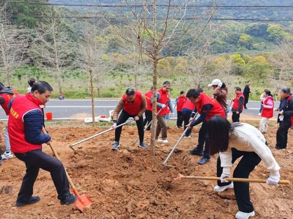 1710486065198683.jpeg 49.jpeg