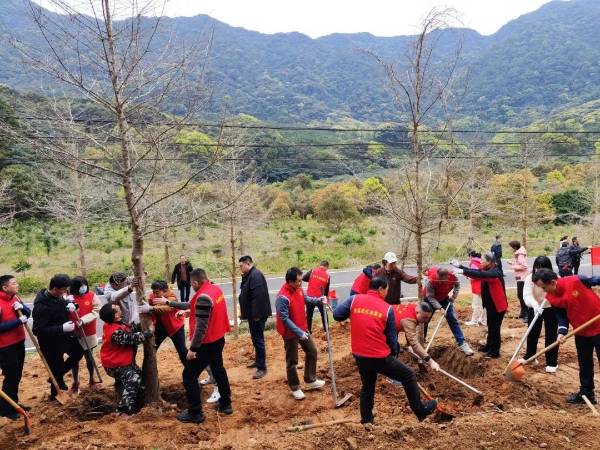 1710486076929025.jpeg 50.jpeg