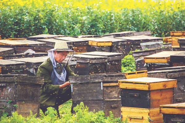 1710553022632642.jpeg 2.jpeg