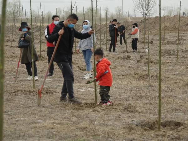 1710729112863750.jpeg 13.jpeg