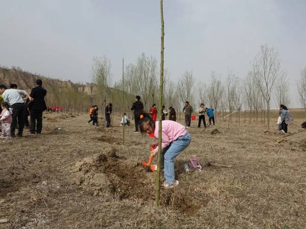 1710729129127533.jpeg 16.jpeg