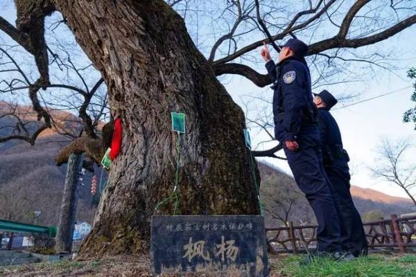 1710824890175266.jpeg 640 (1) (1).jpeg