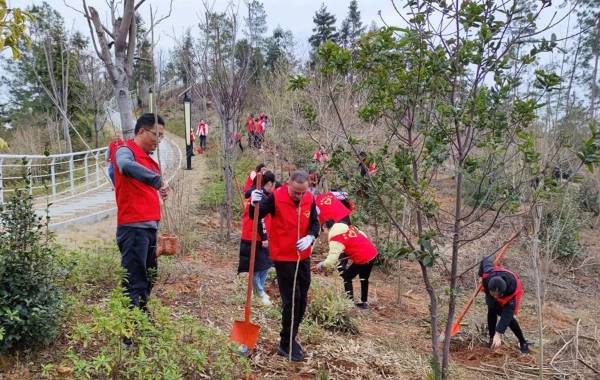 1711008087810083.jpg 2.jpg