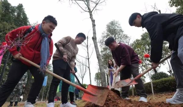 1711008108371905.jpg 3.jpg