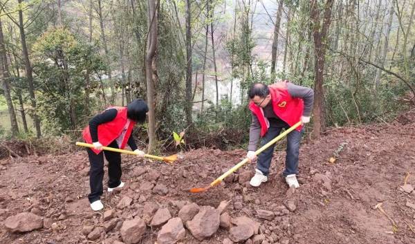 1711008143309220.jpg 4.jpg