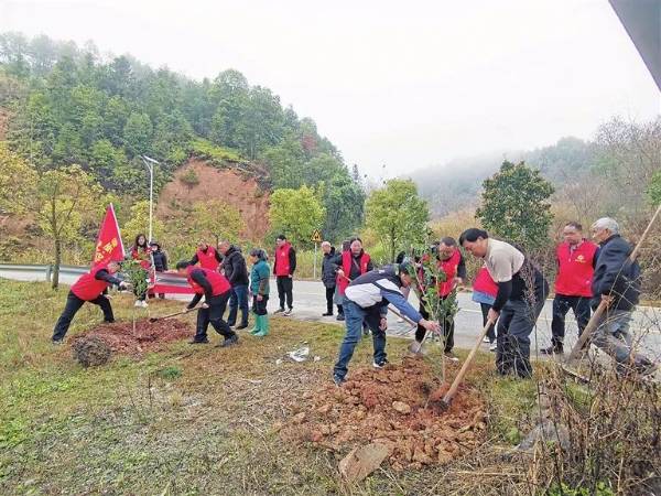 1711008164915204.jpg 5.jpg