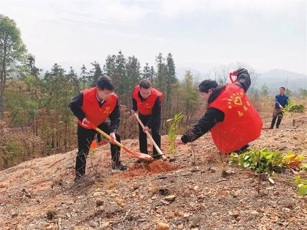 1711008438115441.jpg 13.jpg