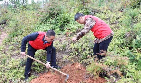 1711008517968650.jpg 18.jpg