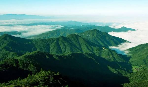 1711008526379676.jpg 19.jpg