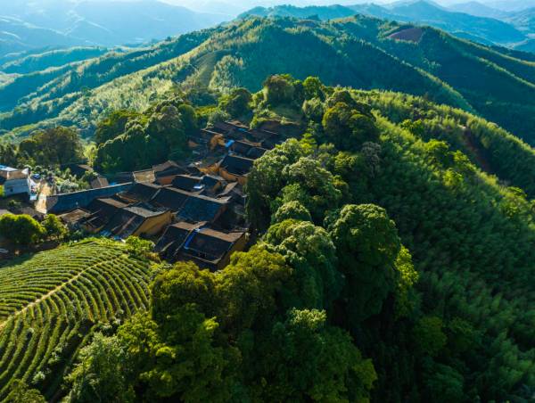 1711010914851985.png 3.png