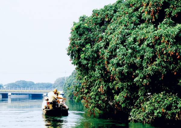 1711010930162464.png 4.png