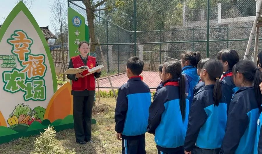 1711013426208606.jpeg 1711013426208606.jpeg