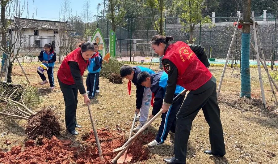 1711013439215614.jpeg 1711013439215614.jpeg