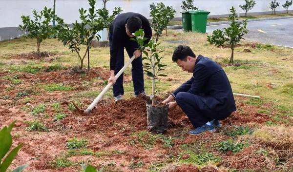 1711013463596321.jpeg 6.jpeg