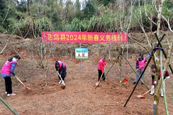 1711013477349281.png 8.png