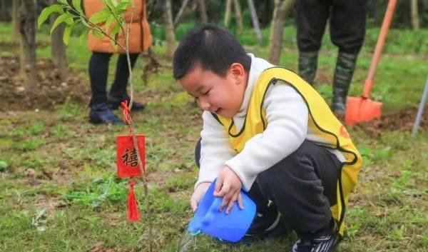 1711013496812401.jpeg 12.jpeg