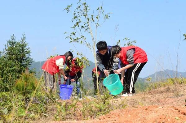 1711013511810129.jpeg 13.jpeg