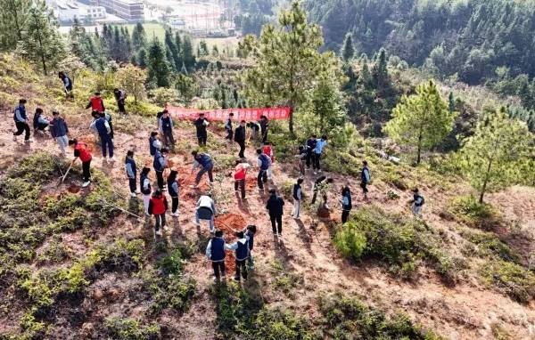 1711013517914967.jpeg 14.jpeg