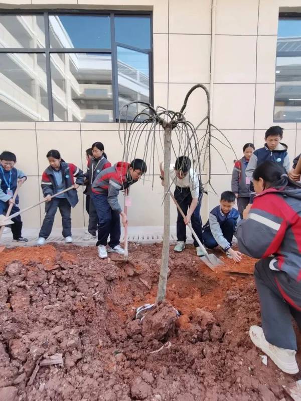 1711013528713656.jpeg 15.jpeg