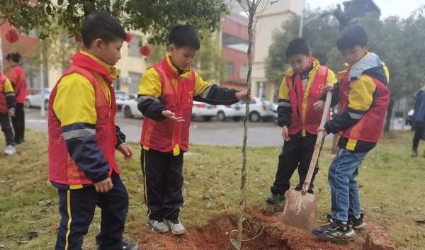 1711013546216699.jpeg 16.jpeg