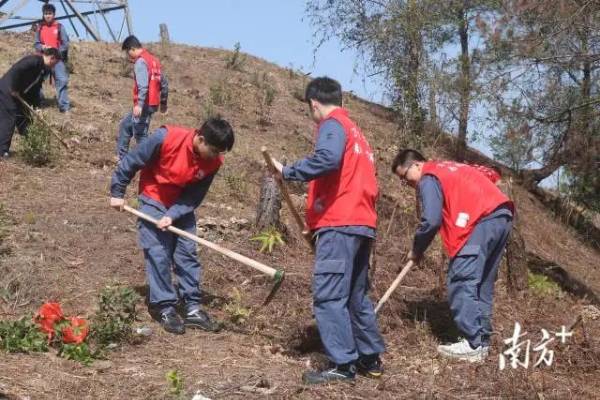 1711091290628643.jpeg 1 (1).jpeg