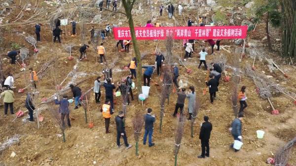 1711332022513178.png 1.png