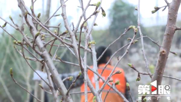 1711332053983956.png 3.png