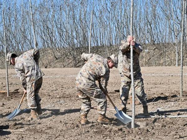 1711333293313807.jpeg 4.jpeg