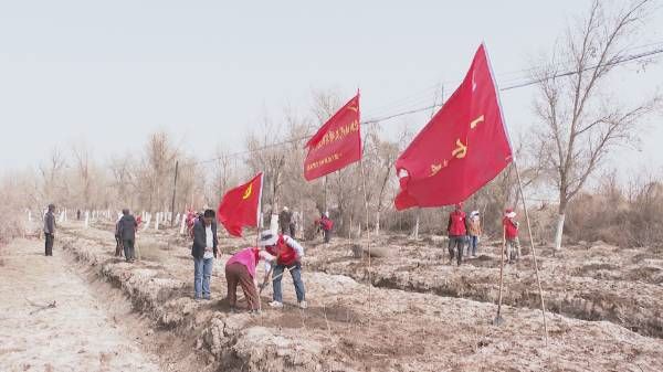 1711351587232937.jpg 15.jpg